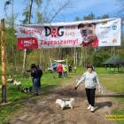 zdjęcie nr 45