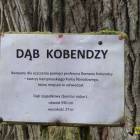 zdjęcie nr 32