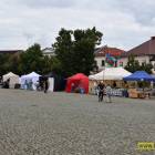 zdjęcie nr 17