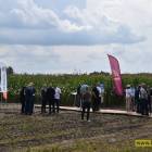 zdjęcie nr 26
