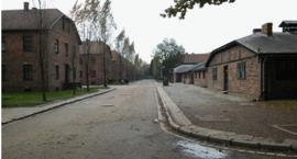 zdjęcie nr 14