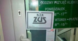 Fotka nr 0 z 5