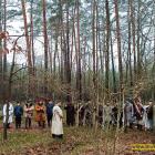 zdjęcie nr 20