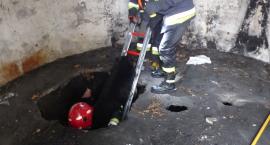 Fotka nr 3 z 14