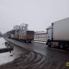 Fotka nr 3 z 13
