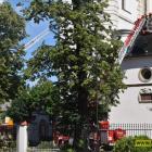 zdjęcie nr 42