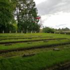 zdjęcie nr 7