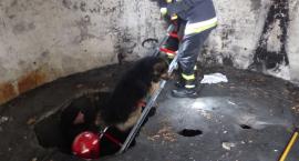 Fotka nr 4 z 14