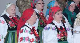 zdjęcie nr 7