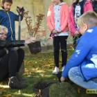 zdjęcie nr 8