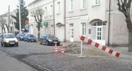 Fotka nr 1 z 3