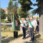 zdjęcie nr 15