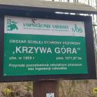 zdjęcie nr 30