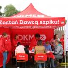 zdjęcie nr 43