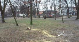Fotka nr 5 z 7