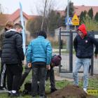 zdjęcie nr 13
