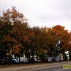 zdjęcie nr 31