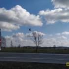 zdjęcie nr 8