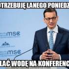 Fotka nr 2 z 16