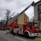 Fotka nr 5 z 17