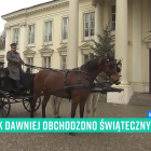 zdjęcie nr 11