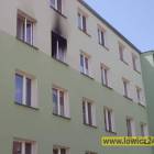 zdjęcie nr 14