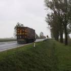 Fotka nr 5 z 10