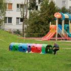 zdjęcie nr 86