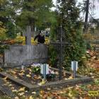 zdjęcie nr 10