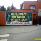 Fotka nr 4 z 5