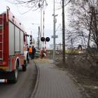 Fotka nr 1 z 4