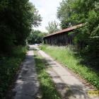 zdjęcie nr 12
