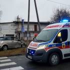 zdjęcie nr 8