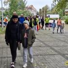 zdjęcie nr 19