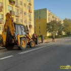 Fotka nr 4 z 5
