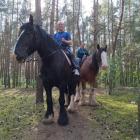 zdjęcie nr 13