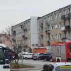 zdjęcie nr 9
