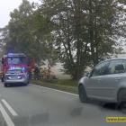 Fotka nr 5 z 6