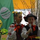 zdjęcie nr 15