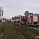Fotka nr 2 z 17