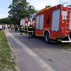 Fotka nr 1 z 3