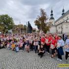 zdjęcie nr 14