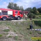 Fotka nr 5 z 11
