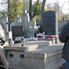 zdjęcie nr 14