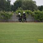 Fotka nr 4 z 113