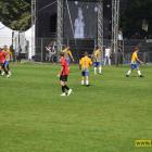 Fotka nr 4 z 134