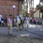zdjęcie nr 7
