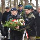 zdjęcie nr 30