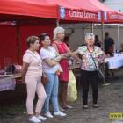 zdjęcie nr 136