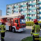 Fotka nr 2 z 11